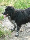 borys